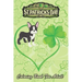 St Patricks Day Coloring Book For Adult: Boston Terrier Dog Mom Dad Shamrock An Adult Coloring Books St Patrick for Kids, Adults with Beautiful Irish