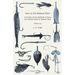 How to Tie Salmon Flies - A Treatise on the Methods of Tying the Various Kinds of Salmon Flies - With Illustrated Directions and Containing the Dressi