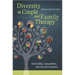 Diversity in Couple and Family Therapy: Ethnicities, Sexualities, and Socioeconomics