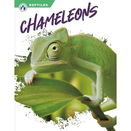 Chameleons