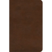 ESV Concise Study Bible(tm) (Trutone, Brown)