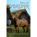 Plains of Tybrunn
