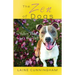 The Zen of Dogs: Wisdom That Wags the Tail