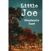 Little Joe