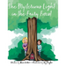 The Mysterious Light in the Fairy Forest