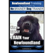 Newfoundland Training Dog Training with the No BRAINER DogTRAINER We Make it THAT Easy!: How to EASILY TRAIN Your Newfoundland