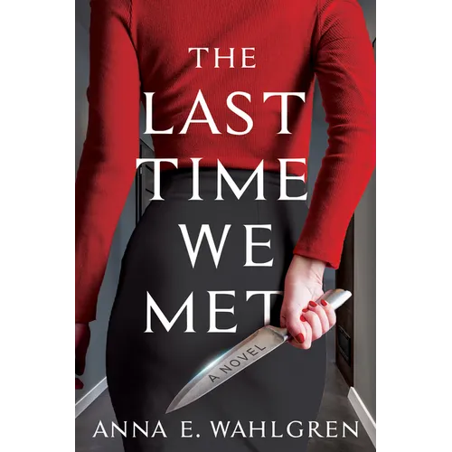 The Last Time We Met