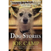 Dog Stories: Everything You Need To Know About Life Is Right There At Your Feet