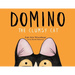 Domino: The Clumsy Cat