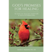 God's Promises for Healing: 30 Days of Healing Scripture & Faith Affirmations