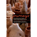 Journeys: Reconceptualizing Early Childhood Practices Through Pedagogical Narration