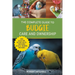 The Complete Guide to Budgie Care and Ownership: Supplies, Nutrition, Socialization, Hand Taming, Health Care, Training, Speaking, and Much More!