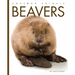 Beavers