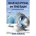 Blue Ice Dying in the Rain: An Alaskan Novel