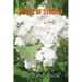 hores of Syringa