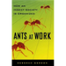 Ants at Work: How an Insect Society Is Organized