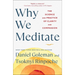 Why We Meditate: The Science and Practice of Clarity and Compassion