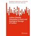 Carbon Dioxide Adsorption in Rock and Geological Storage of Carbon
