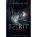 Spirit: An Andrea Kelley Mystery (The Archivist Book 2)