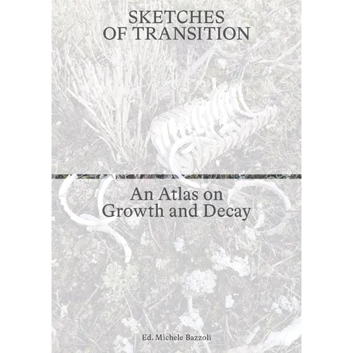 Sketches of Transition: An Atlas on Growth and Decay
