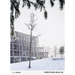 Ofis Files. 2012 - 2024