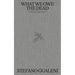 What We Owe the Dead: An Experimental Detective Novel Set in a Dystopian Society