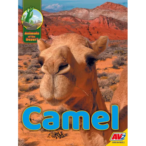 Camel