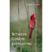 Between Gone and Everlasting