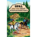 Opal and the Great Steeplechase Race