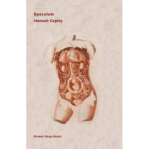 Speculum