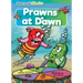 Prawns at Dawn