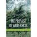 The Promise of Wilderness: American Environmental Politics since 1964