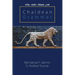 Chaldean Grammar