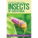 Pocket Guide to the Insects of Costa Rica
