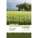 Learning from agri-environment schemes in Australia: Investing in biodiversity and other ecosystem services on farms