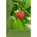 No Healing Medicines!: I've Claimed the promise... So Why Am I Not Healed? Because there are: