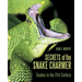 Secrets of the Snake Charmer: Snakes in the 21st Century