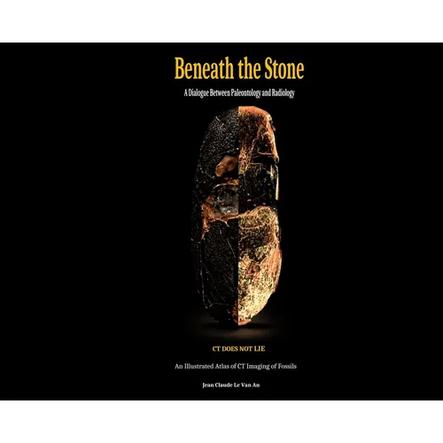Beneath the Stone: A Dialogue between Paleontology and Radiology