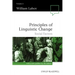 Principles of Linguistic Change, Volume 2: Social Factors