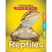 Reptiles