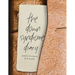 The Down Syndrome Diary: The journey of one little book that will change the world.
