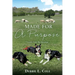 Made For A Purpose: Lessons From My Sheepdogs