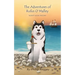 The Adventures of Rufus O'Malley - Monty Saves The Day