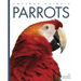 Parrots