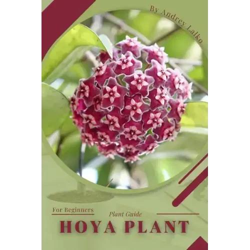 Hoya plant: Plant Guide