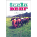 Salad Bar Beef