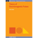 Theory of Electromagnetic Pulses