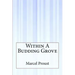 Within A Budding Grove