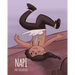 NAPI & The Buffalo: Level 2 Reader