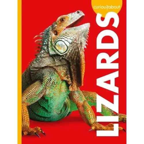 Curious about Lizards